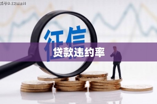 武义贷款违约率