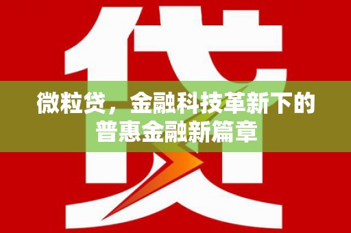武义微粒贷，金融科技革新下的普惠金融新篇章