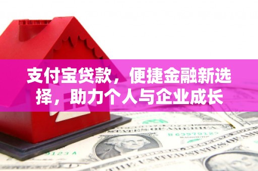 武义支付宝贷款，便捷金融新选择，助力个人与企业成长