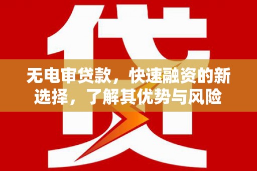 武义无电审贷款，快速融资的新选择，了解其优势与风险