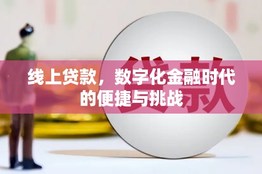 武义线上贷款，数字化金融时代的便捷与挑战