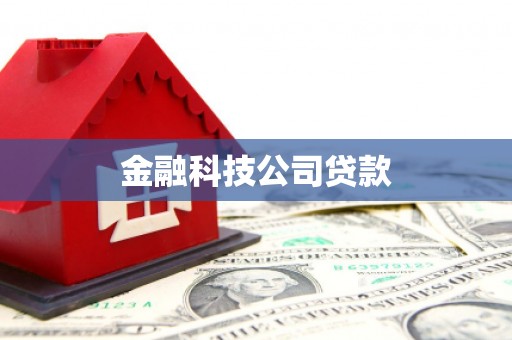 武义金融科技公司贷款