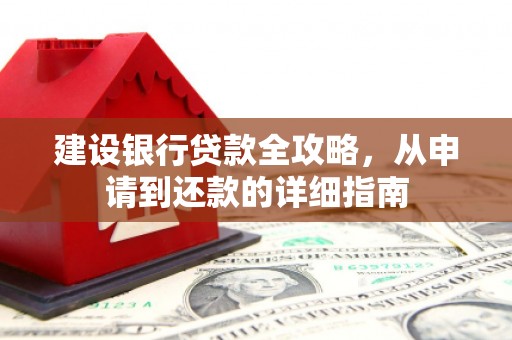 武义建设银行贷款全攻略，从申请到还款的详细指南
