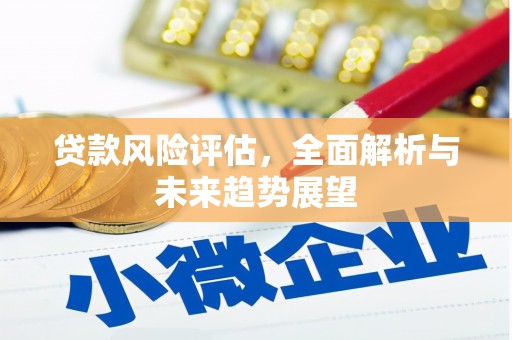 武义贷款风险评估，全面解析与未来趋势展望