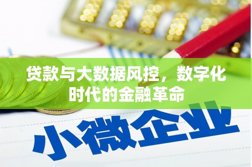 武义贷款与大数据风控，数字化时代的金融革命