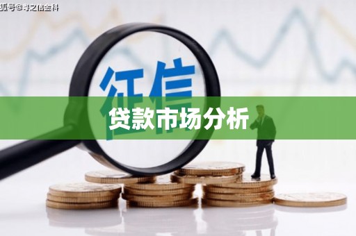 武义贷款市场分析