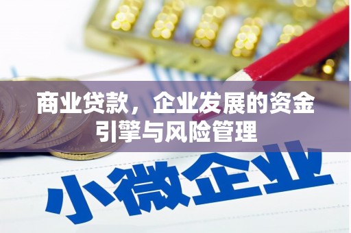 武义商业贷款，企业发展的资金引擎与风险管理