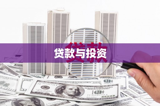 武义贷款与投资