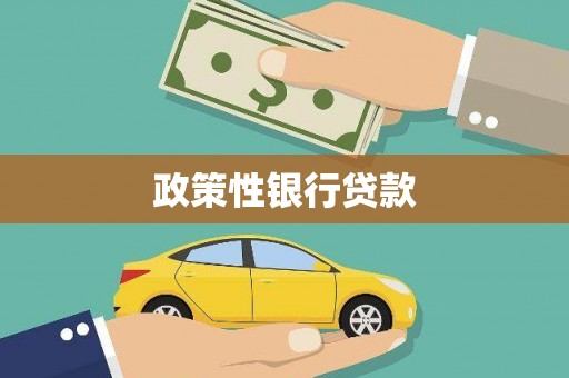 武义政策性银行贷款
