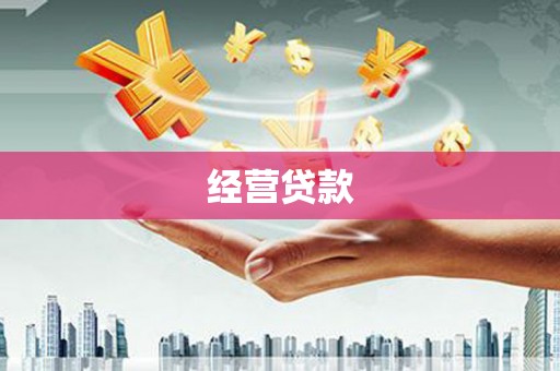 武义经营贷款