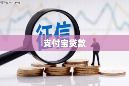 武义支付宝贷款