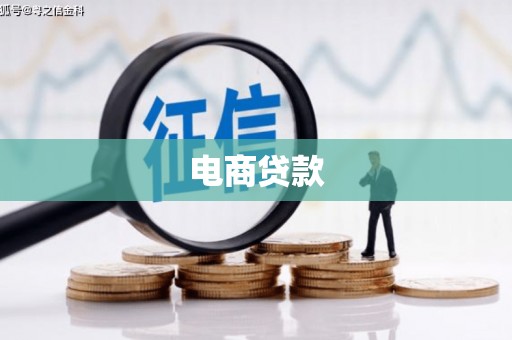 武义电商贷款