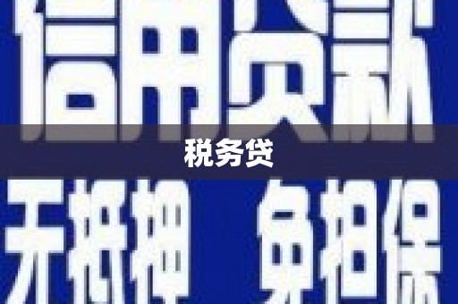 武义税务贷