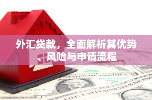 武义外汇贷款，全面解析其优势、风险与申请流程