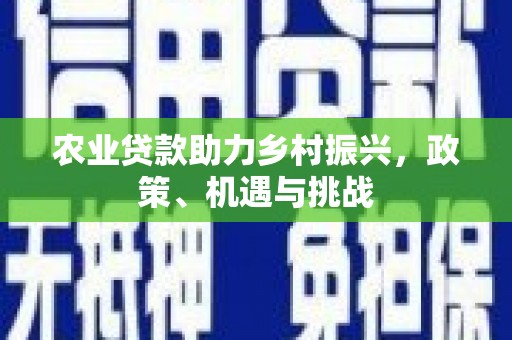 武义农业贷款助力乡村振兴，政策、机遇与挑战