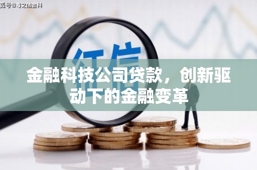 武义金融科技公司贷款，创新驱动下的金融变革