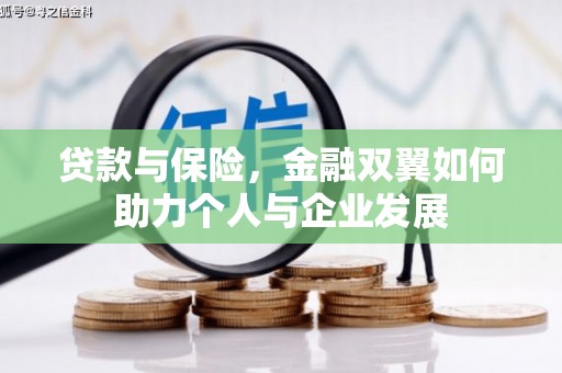 武义贷款与保险，金融双翼如何助力个人与企业发展