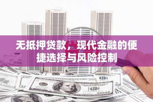武义无抵押贷款，现代金融的便捷选择与风险控制