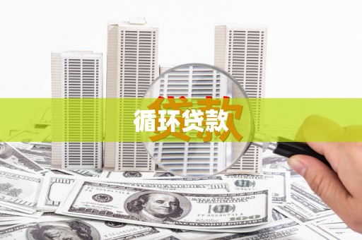 武义循环贷款