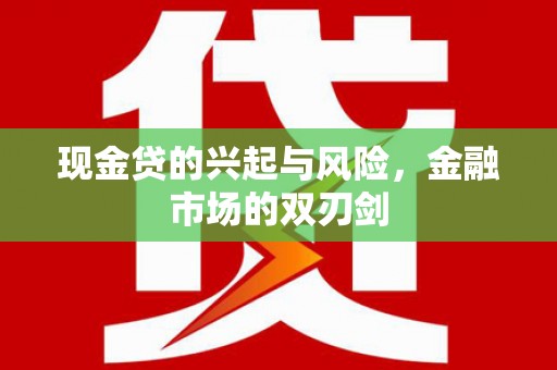 武义现金贷的兴起与风险，金融市场的双刃剑