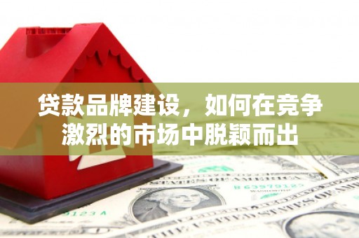 武义贷款品牌建设，如何在竞争激烈的市场中脱颖而出