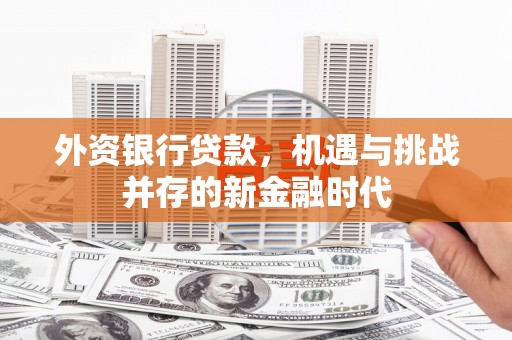 武义外资银行贷款，机遇与挑战并存的新金融时代