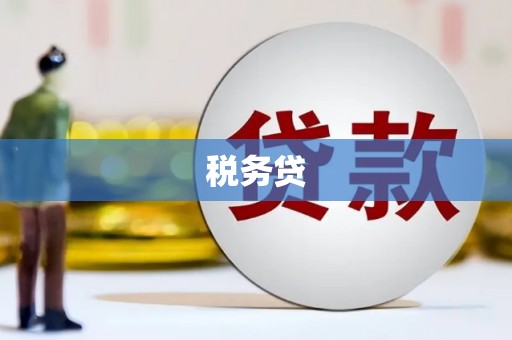 武义税务贷