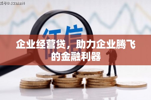 武义企业经营贷，助力企业腾飞的金融利器