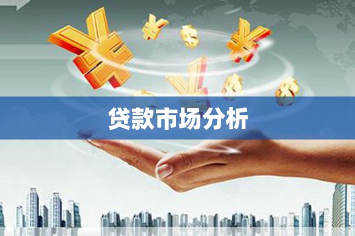 武义贷款市场分析