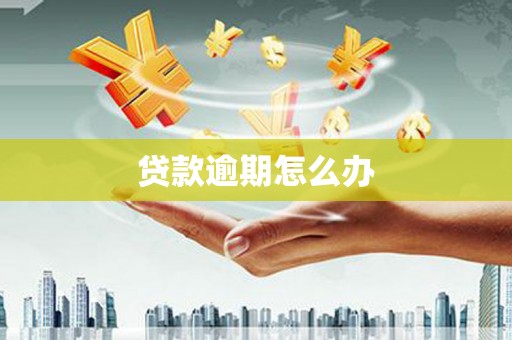 武义贷款逾期怎么办