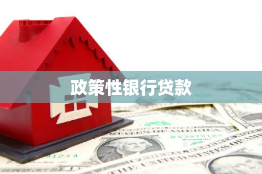 武义政策性银行贷款
