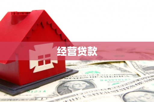 武义经营贷款