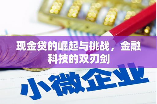 武义现金贷的崛起与挑战，金融科技的双刃剑