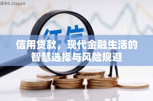 武义信用贷款，现代金融生活的智慧选择与风险规避