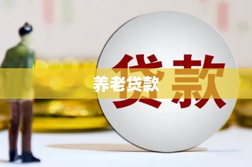 武义养老贷款