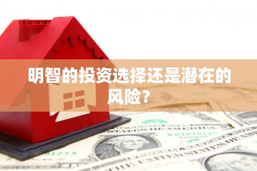 武义明智的投资选择还是潜在的风险？