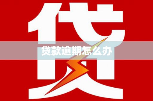 武义贷款逾期怎么办