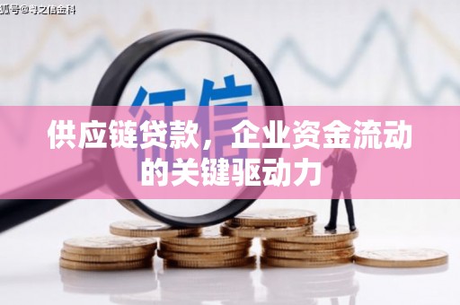 武义供应链贷款，企业资金流动的关键驱动力