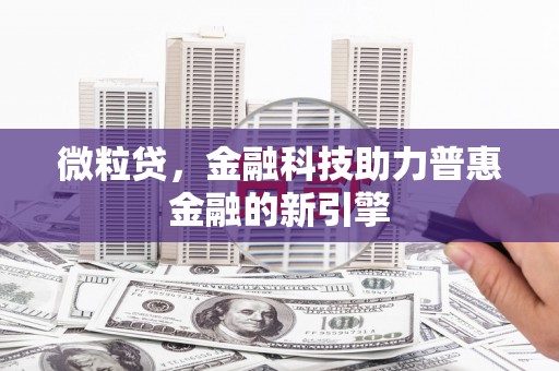 武义微粒贷，金融科技助力普惠金融的新引擎