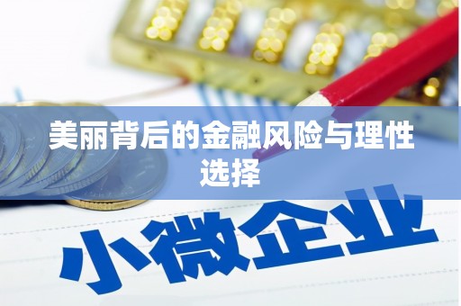 武义美丽背后的金融风险与理性选择