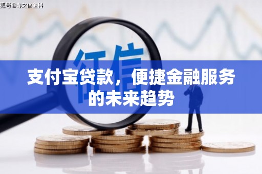 武义支付宝贷款，便捷金融服务的未来趋势