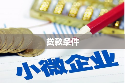 武义贷款条件