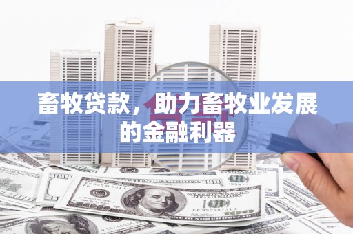 武义畜牧贷款，助力畜牧业发展的金融利器