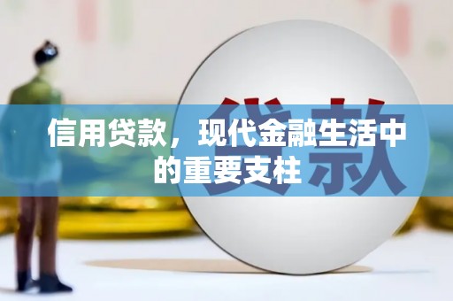 武义信用贷款，现代金融生活中的重要支柱