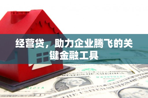 武义经营贷，助力企业腾飞的关键金融工具
