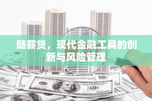 武义随薪贷，现代金融工具的创新与风险管理