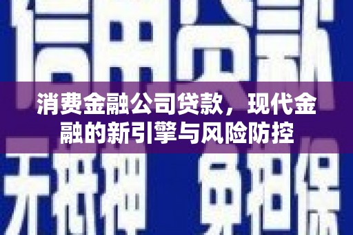 武义消费金融公司贷款，现代金融的新引擎与风险防控