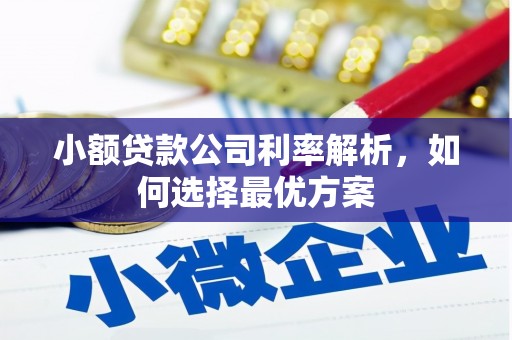 武义小额贷款公司利率解析，如何选择最优方案