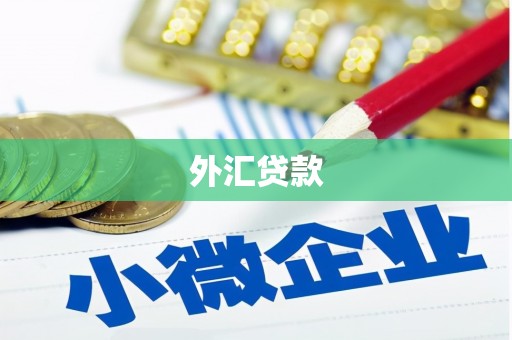 武义外汇贷款