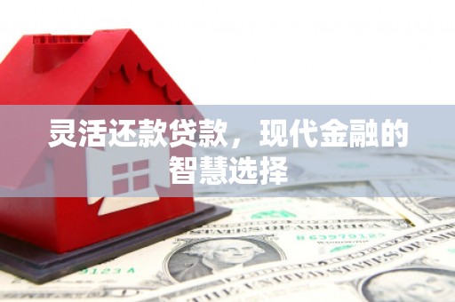 武义灵活还款贷款，现代金融的智慧选择